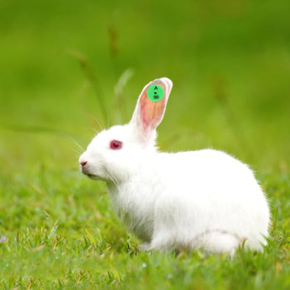 HEMOTON Rabbit Ear Tags, 100-Piece Numbered Identification Labels