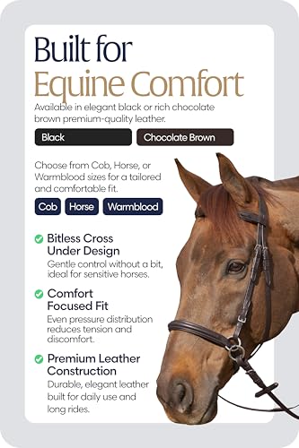 Equinavia Saga Leather Horse English Bridle, Stainless Steel Hardware Reins - color: Chocolate Brown, size: Warmblood