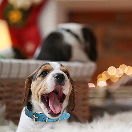Puppy Collar for Litter Adjustable Leather ID Collars for Puppy Small Dog - size: M(Neck:11.8"~14.8")