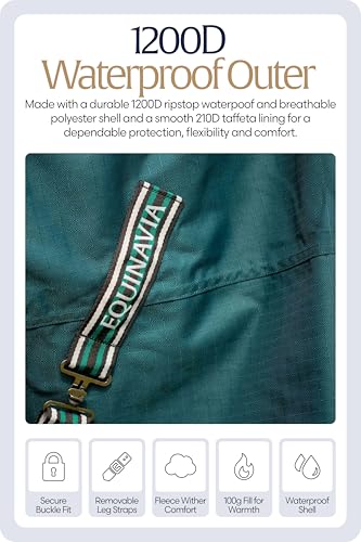 Equinavia Arktis Reg. Neck Lightweight Turnout Blanket 100g - Deep Green - 75 in - color: Deep Green, size: 75 in