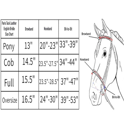 Everyday Raised Fancy Stitched Leather English Schooling Bridle with Laced Reins St. Steel Hardware with 1 Year Warranty. - color: Havana, size: Cob