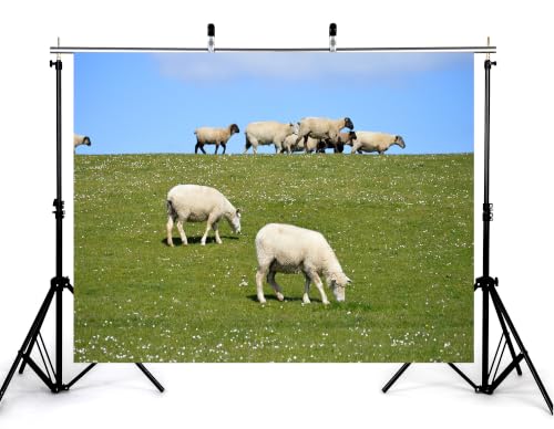 4x4ft Grass Sheep Pasture Backdrop White Wool Sheep Wild White Flower Bright Blue Cloud Sky Background Tapestry Party Farm Pasture Decorations Banner Photo Props - size: 4x4ft