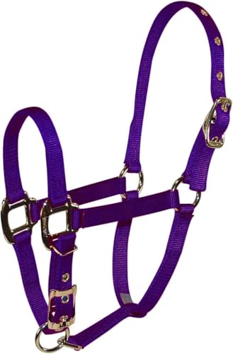 Hamilton Deluxe Adjustable Horse Halter, 100-200 lbs, Purple - color: Purple, size: Foal, 100-200lbs