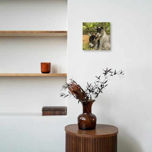 3dRose Two Young African Pygmy Goat Kids snuggled Together. 10x10 Wall Clock