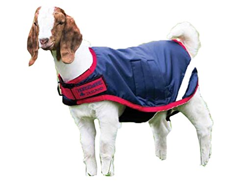 Horseware® Goat Rug - Navy/Red, M - color: Navy/Red, size: M