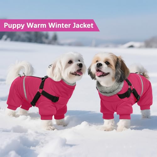 BRKURLEG Dog Winter Coat with Harness Built in, Winter Dog Jacket for Small and Medium Dogs, Small Dogs Snowsuit Reflective Windproof Cold Weather Coat, Puppy Warm 100% Polyester Coats, Hot Pink, M - color: Hot pink, size: Medium