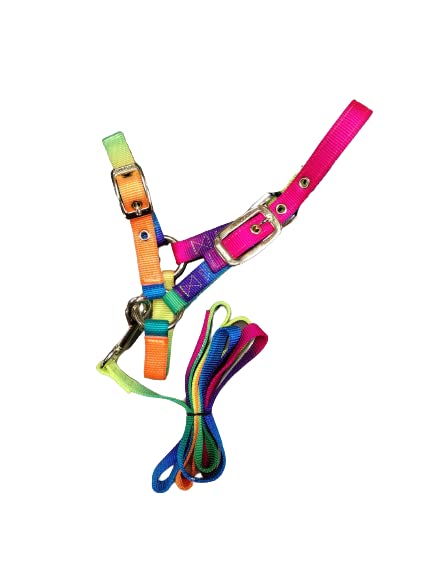 Durable Nylon Sheep Halter w/Snap Lead - color: Rainbow