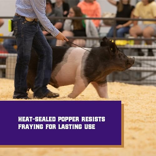 Weaver Livestock Basic Pig Show Whip, Hog Livestock Whip with Braided Nylon Handle, Leather Popper, Lightweight Braided Shaft - color: 36" - Mauve/White