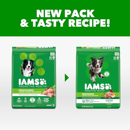 IAMS Proactive Health 성인용 Minichunks 건식 개 사료, 닭고기, 18.1kg(40파운드) - size: 40파운드(1개)