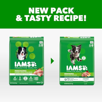 IAMS Proactive Health 성인용 Minichunks 건식 개 사료, 닭고기, 18.1kg(40파운드) - size: 40파운드(1개)