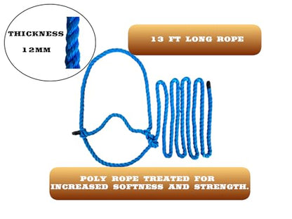 Villanos Arts - Poly Rope Cattle Halter for Cow and Calf, for Daily Use, Weather Resistant, Handling Equipment for Showing, 13 Ft Long x 12mm Thickness.