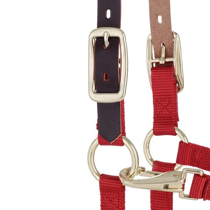 Weaver Leather Adjustable Breakaway Nylon Horse Halter