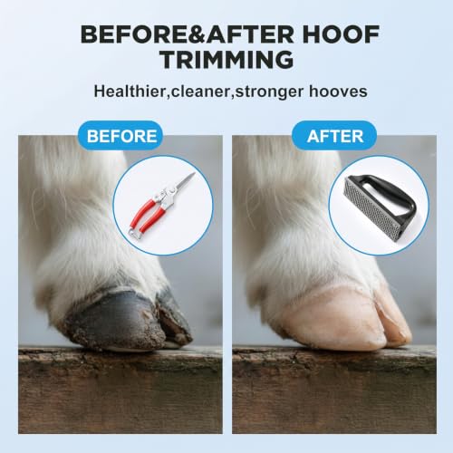 Goat Hoof Trimmers Shears Kit with Rasp, Sheep Care Tool Red Black - color: Red Trimmers Black Rasp