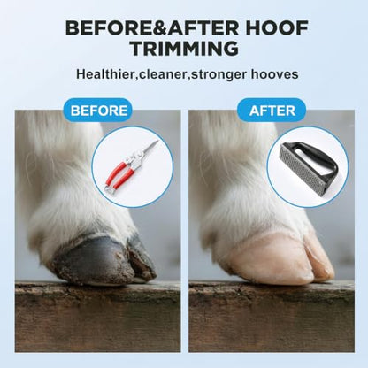 Goat Hoof Trimmers Shears Kit with Rasp, Sheep Care Tool Red Black - color: Red Trimmers Black Rasp