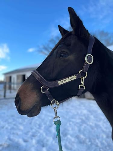 Leaders Padded Curved Leather Halter with Customized Engraved Name Plate Ergonomic Leather Halter for Horses - size: Horse Size Dark Brown/Brown Stitch