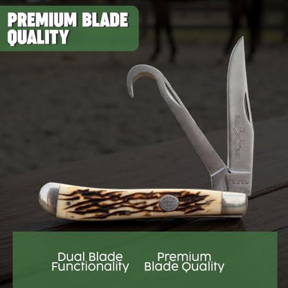 SZCO Supplies 3.75" Dual Blade Hoof Knife – Stainless Steel Hook and Clip-Point Blades, Durable Bone-Style Handle, Multi-Use Folding Utility Knife for Ranch, Barn, Camping, and Outdoor Knife