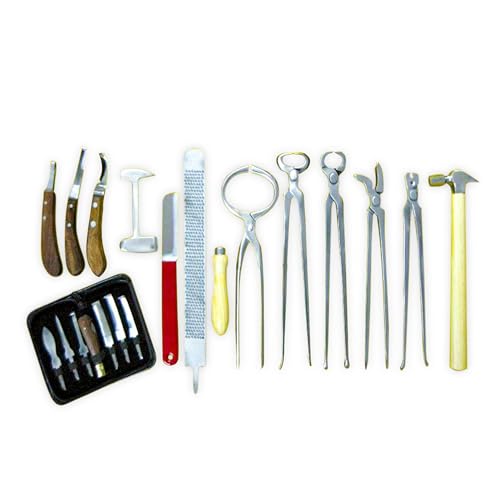 13-Piece Professional Farrier Hoof Care Kit – Horse Hoof Trimming and Maintenance Tools with Hoof Knives, Rasp, Nippers, Tongs, Hammer, and More – Durable Stainless Steel Farrier Tool Set