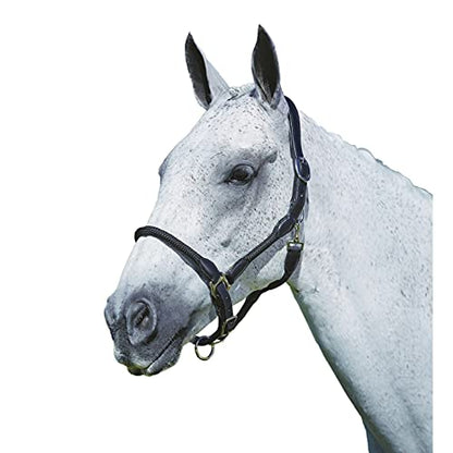 Kincade Leather Rope Headcollar, Black, Full - color: Black, size: Full