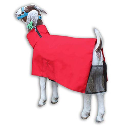 Show Pro Red Goat Blanket Nylon with Mesh Butt for Show Goats - Livestock Supplies for Goat Cover. Free Ring Out Concentrate for Proven Ringworm & Fungus Prevention Included - size: Medium