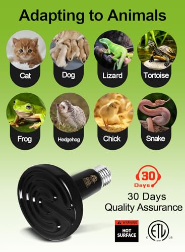 2-Pack 150W Ceramic Heat Lamp with 1-pcs Digital-Thermometer
