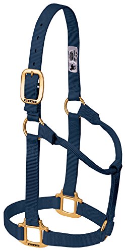 Weaver Leather Supply Original Non-Adjustable Nylon Horse Halter, Average, Navy