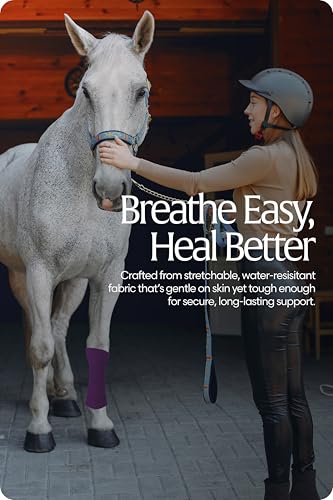 Equinavia 20 Pack Self Adhesive Bandage Wrap, 4 Inch Vet Wrap for Horses - color: Purple