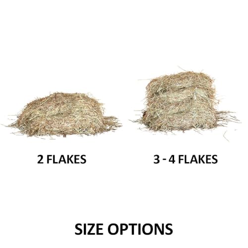 Schneiders Easy-Open Knotless 1.25" Slow Feed Hay Net for Horses | Top Rim Stays Open Filling | Gentle Poly Netting | Holds 2 to 4 Flakes of Hay - size: 2 Flakes