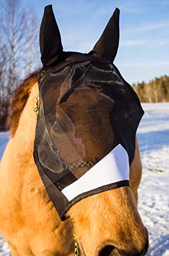 Horse Fly Mask with Ears 5 Colors Stretchable Ears Net Breathable Protect from Bugs and Flies Hood Veil Tack Equestrian Shows Trails (Orange)
