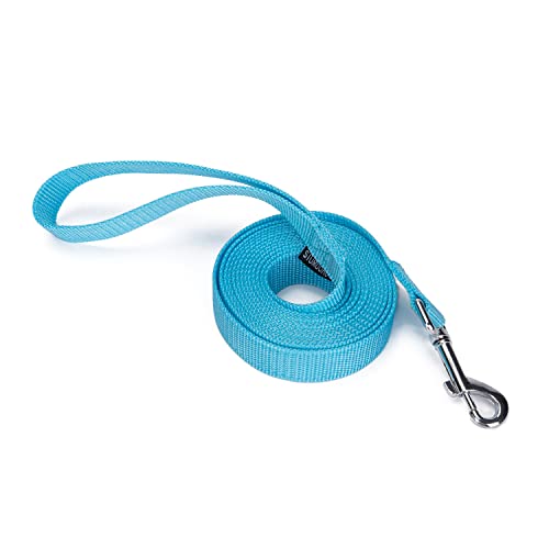 Strong Durable Nylon Dog Training Leash, 1 Inch Wide Traction Rope, 10 ft Long, for Small and Medium Dog (Mint Blue, 10 Feet) - color: Mint blue, size: 10 Feet