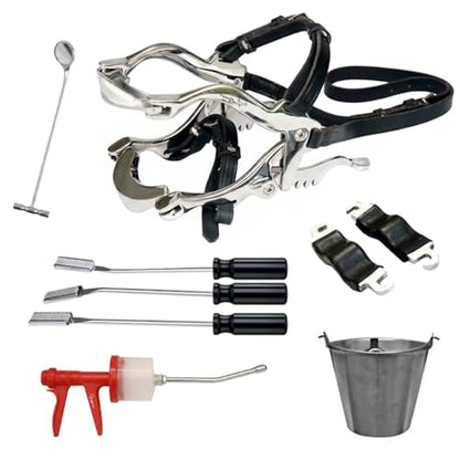 Equine Dental Kit Set Hau’sman Speculum Horse with Basic Items 3 Float Set, 300ml Syringe, 45mm Mirror, 10 litres Bucket Professional Veterinary Horse Dental Equipment for Equine Oral Care