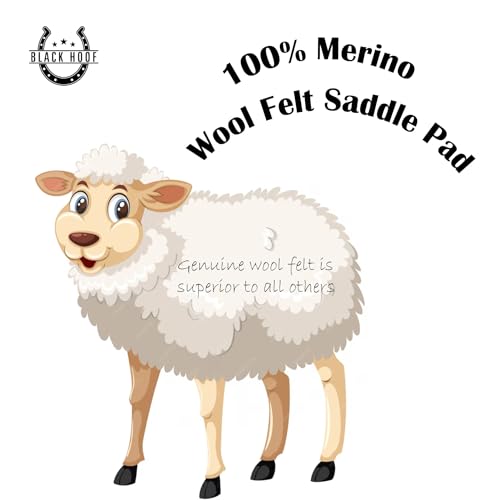 BLACK HOOF Blackhoof Steam Pressed Merino Wool Felt Contoured Pad (31" Length and 32" Width), Saddle pad for Horses