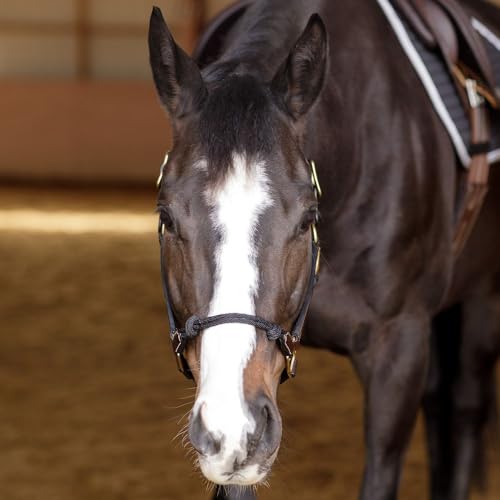 Schneiders Leather and Rope Nose Combo Control Halter for Horses | Breakaway Safety Crown | Rope Nose for Responsiveness - size: Cob