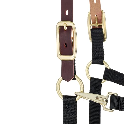 Weaver Equine Breakaway Horse Halter, Supple Leather Crown, Adjustable Chin & Throat Snap Halters for Horses, Equine Tack,Pony Size, Black