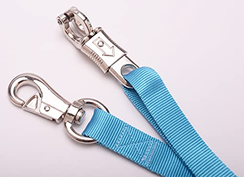 Adjustable Trailer Tie （2 Pack）-Horse Trailer Nylon Strap Tie，Adjusted from 25 to 37” - color: Hurricane Blue