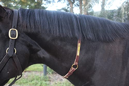 Tack Shack of Ocala Neck Straps with Custom Engraved Name Plate for Horse| Pony, Horse, Yearling, and Adjustable Light Brown Leather with Brass Plate Optional - size: Yearling