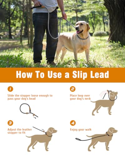 Dog Leash Slip Lead Braided Rope Pet Training Loop Leashes 5ft 6ft 8ft - color: Grey