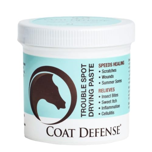 COAT DEFENSE Trouble Spot Drying Paste for Horses - Natural Equine Wound Care That Provides Safe & Effective Relief from Scratches, Sweet Itch, Summer Sores, Proud Flesh, Mud Fever, Girth Rot (10 Oz) - size: 10 Oz