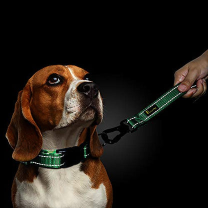 PLUTUS PET 10” Short Dog Leash, Reflective Nylon Padded Handle, Strong Traffic Leash with Carabiner Clip, Perfect for Large or Medium Dogs（10”，Green | Reflective, Heavy Duty Strong Nylon, Traffic Leash with Carabiner Clip for Training Walking (10", Green)