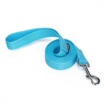 Strong Durable Nylon Dog Training Leash, 1 Inch Wide Traction Rope, 6 ft Long, for Small and Medium Dog (Mint Blue, 6 Feet) - color: Mint blue, size: 6 Feet