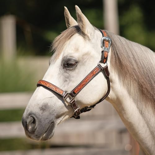 Schneiders McKenzie Padded Leather Ranch Halter for Horses | Premium Argentine Leather with Hand-Tooled Basketweave & Floral Design | Western Style & Comfort Fit