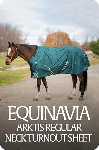 Equinavia Arktis Regular Neck Turnout Sheet - Deep Green - 75 in - color: Deep Green, size: 75 in