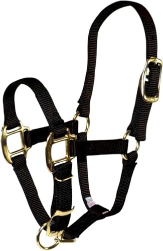 Hamilton Quality Adjustable Horse Halter, 100-200 lbs, Black - color: Black, size: Pony, 100-200lbs