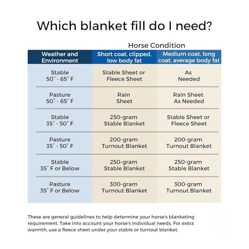 Reinsman Classic Turnout Winter Warm Horse Blanket with 200g Fill| Water-Resistant 600 Denier | Comfortable Fleece-Lined Adjustable Neck | Breathable Nylon Liner | Easy to Clean, Tan/Blue, 69"