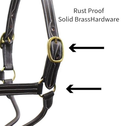 Derby Originals Triple-Stitched Leather Horse Halter – Premium Double-Layer Design with Brass Hardware – No Throat Snap for Safety, Classic Track Style – One-Year Warranty - size: Weanling
