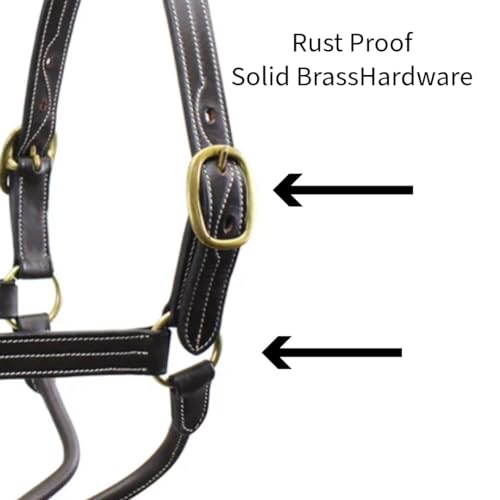 Derby Originals Triple-Stitched Leather Horse Halter – Premium Double-Layer Design with Brass Hardware – No Throat Snap for Safety, Classic Track Style – One-Year Warranty - size: Cob