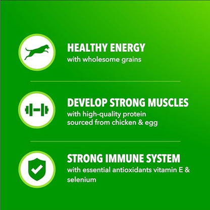 IAMS Proactive Health 성인용 Minichunks 건식 개 사료, 닭고기, 13.6kg(30파운드) - size: 30파운드 (1봉)