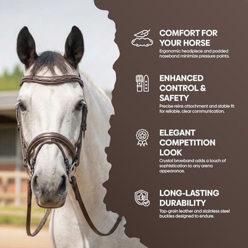 Equine Care English Horse Bridle with Reins, Padded, 6 Browband Styles - color: Havana Brown