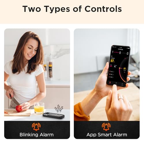 Newise Bluetooth Meat Thermometer with Smart APP, 800FT Wireless Range - size: 1 Probe