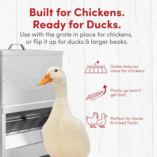 RentACoop 50lb Gravity-Fed Metal Trough Feeder with Lid & Rain Cover - size: 50LB Capacity