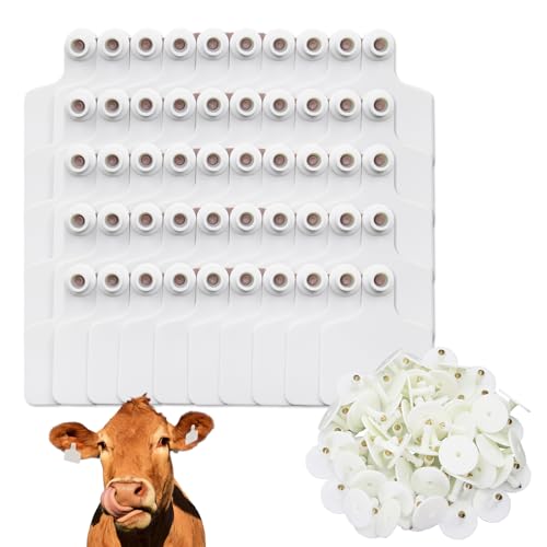 100 Pcs Blank Cattle Ear Tags Large TPU Livestock Identification Tags for Cattle Cow Sheep Goat Pig Hog Calf Horse Farm Management Animal Identification Durable Weather Resistant (White) - color: White